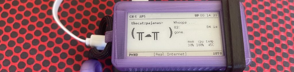 pwnagotchi - whoops