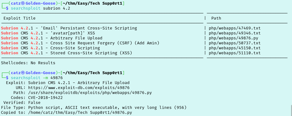 Searchsploit results