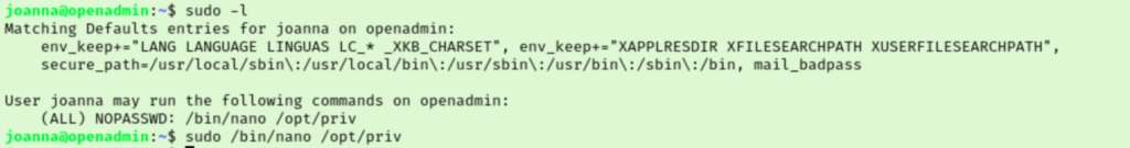 OpenAdmin - PrivEsc 1